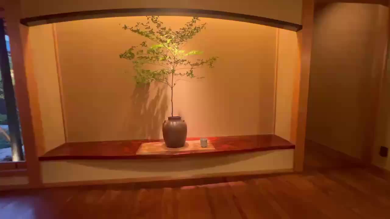 video_0